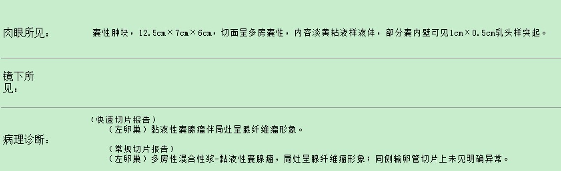 1230期病理结果.jpg