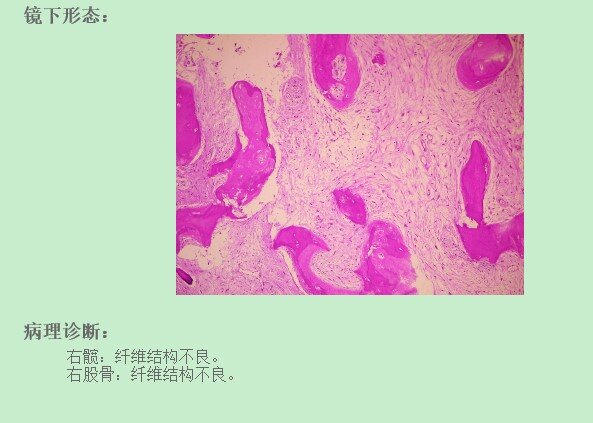 病理_proc.jpg