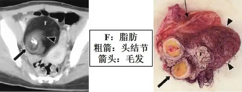 微信图片_20231016233805.jpg