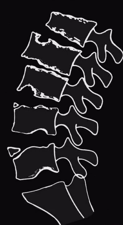 41e839abb172404916982d6afdf59b54.jpg