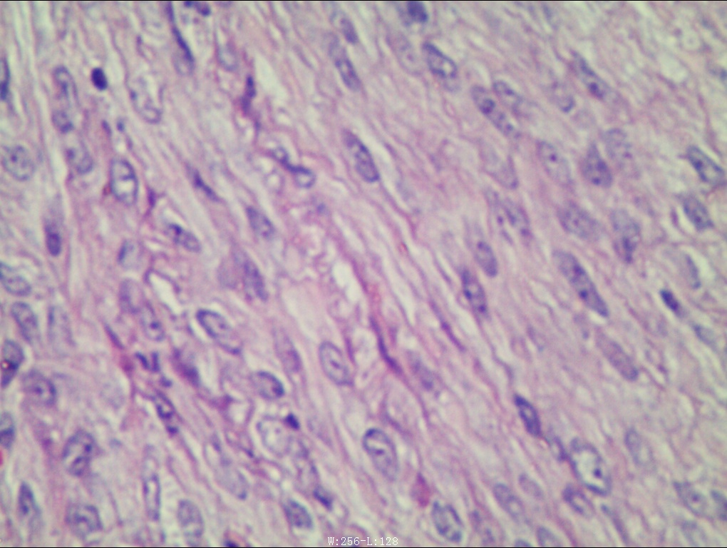 Image3.jpg
