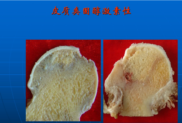 eb4c315d75efd46c3e72d94ca57c577.png