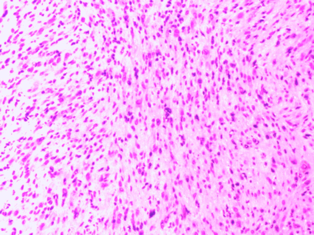 2315709_01.jpg