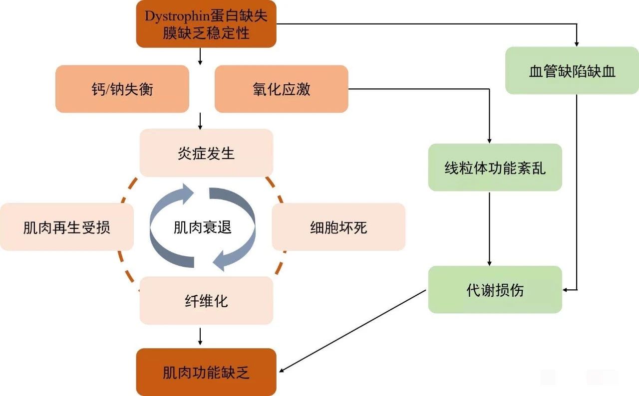 微信图片_20240204115759.jpg