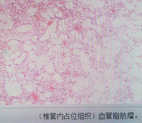 微信截图_20240212094704.png