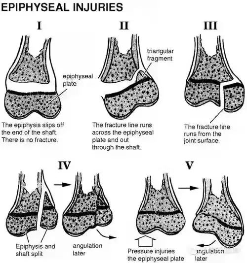 5cacd7ea755b3e9d8ff060834686d5b6.jpg