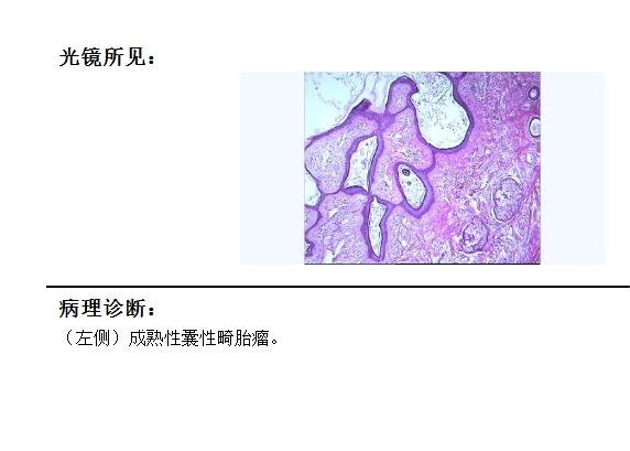 860a4db1-c184-4330-acaf-945f01183b22.jpg