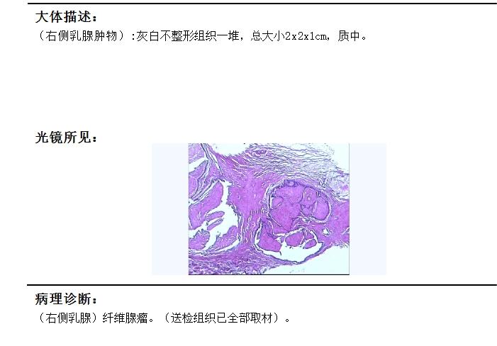b24a6f9e-3e73-40cc-a3a7-936701110375.jpg