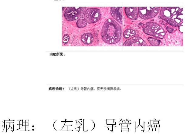 88b35ed606ab44599e556b7f99ba9bc3.jpg