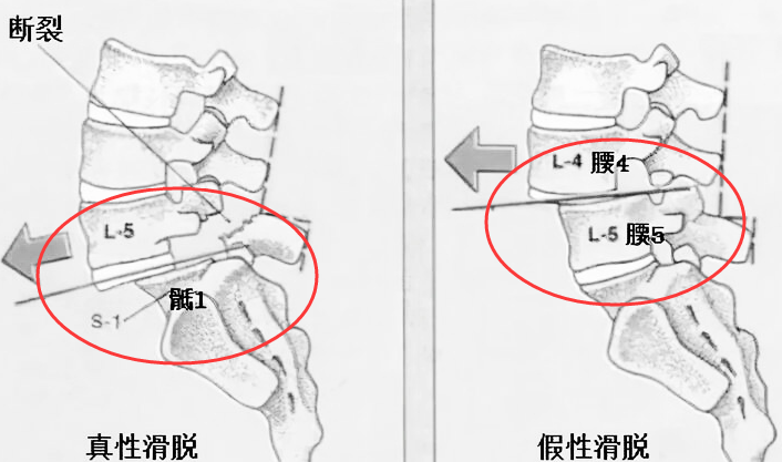 d0d52ac213640845ad5369e1442c5f3.png