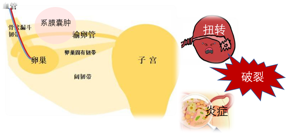 7f0bfccd17c2d141ca467084c077a513.png