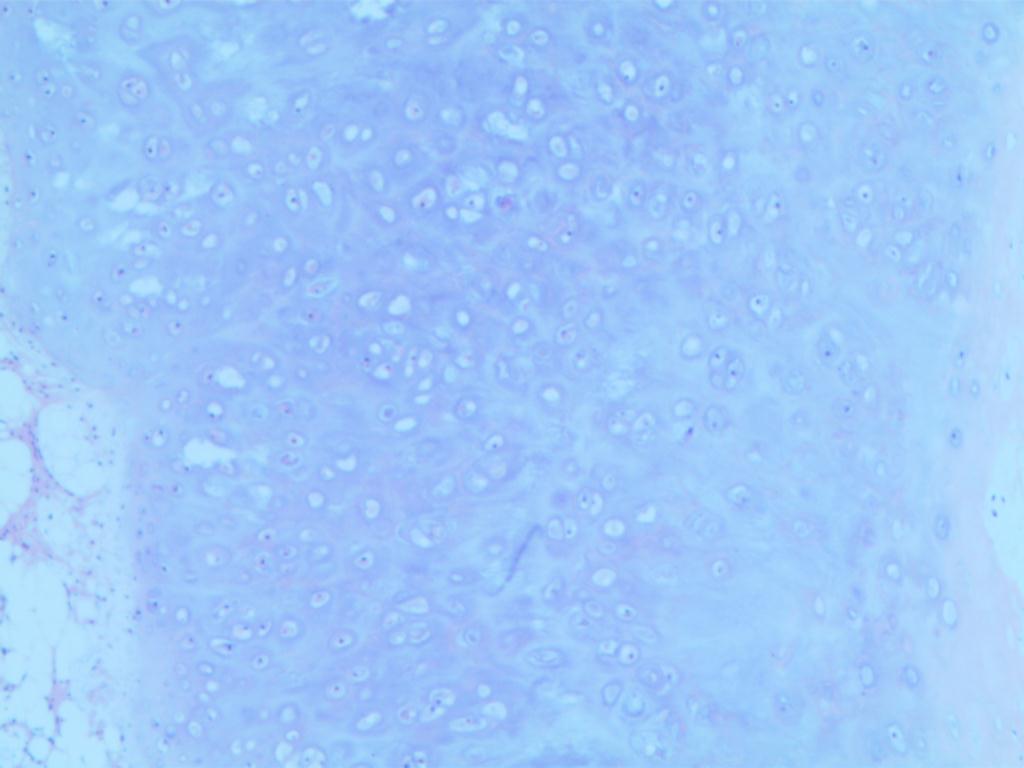 202152822_001.jpg