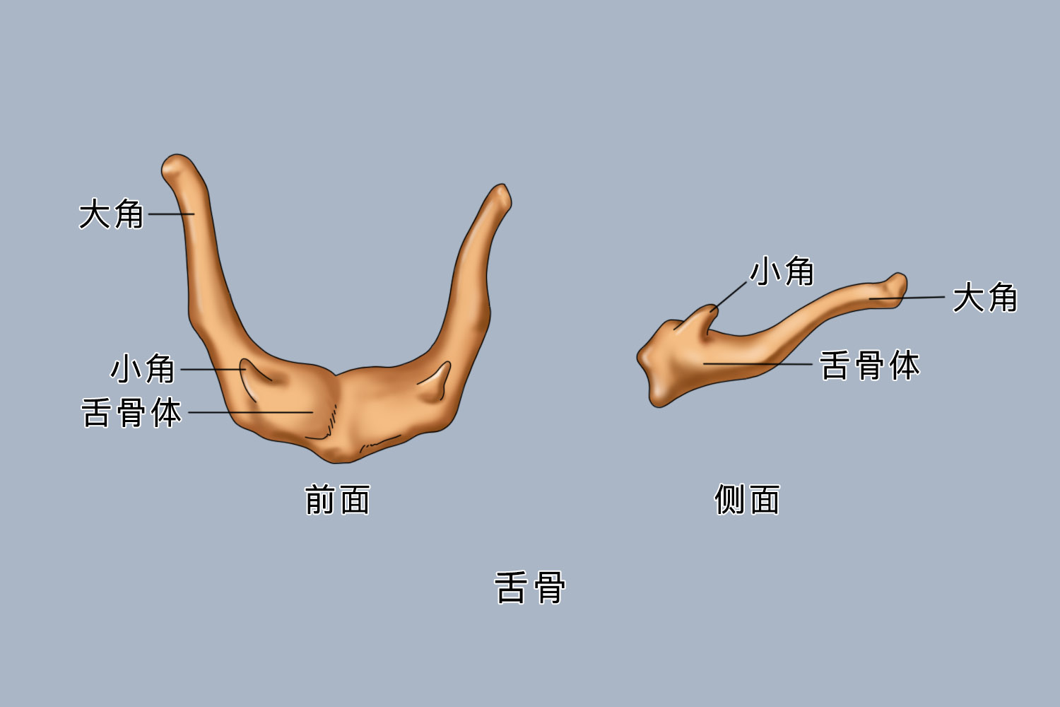 e8618571fd2be326cdf1b3c676c71fa.png