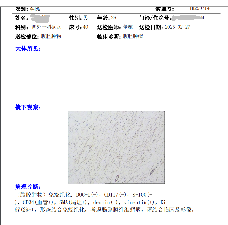 王安楠.png