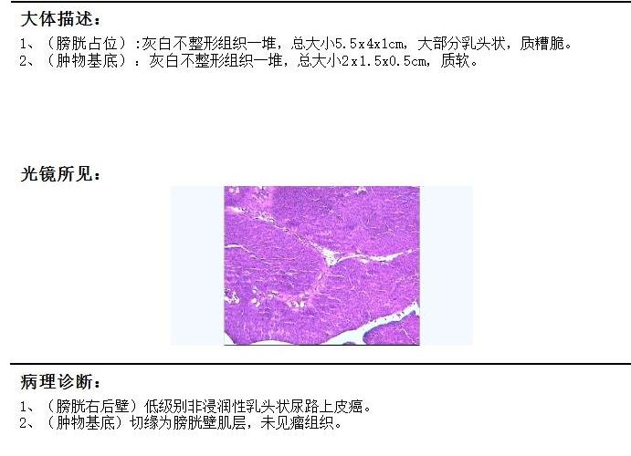 6deae52a-5158-4f5f-b251-9477010c86f3(1).jpg