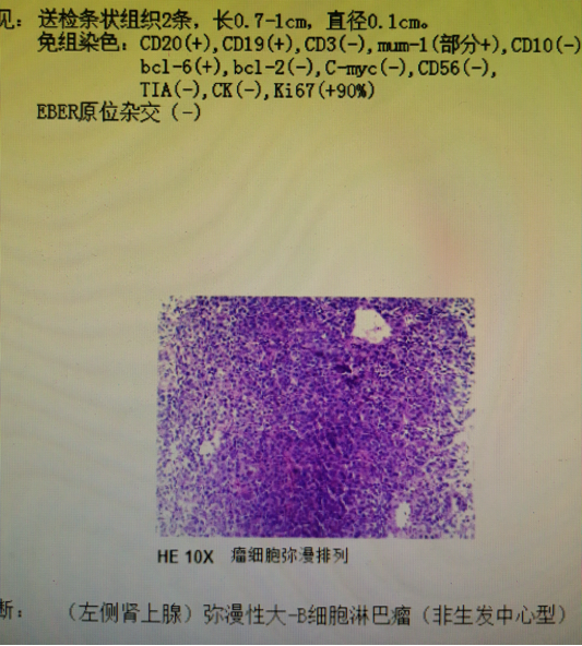 02f599d96d67b2eb17f37cde1ad359d.png