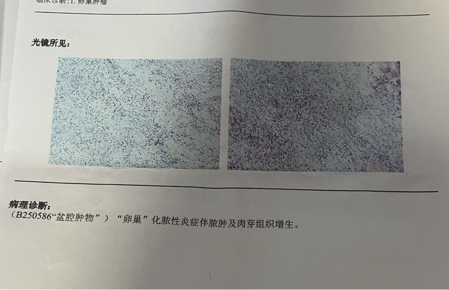 6fc7b742afe4cac27cc9d0a0342250d.png