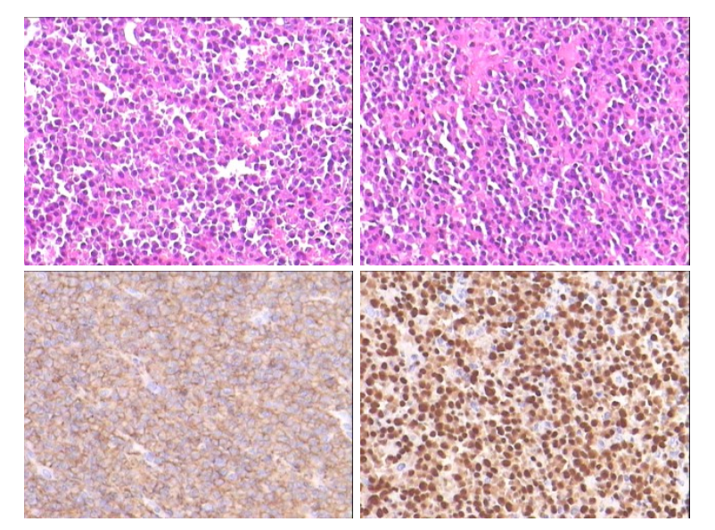 1687709930888094610.png 1687709927734.png