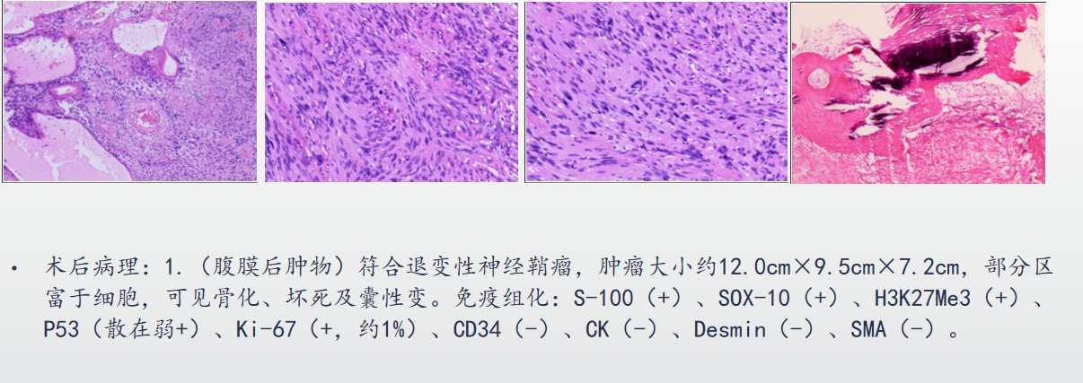 屏幕截图 2025-11-26 142511.jpg