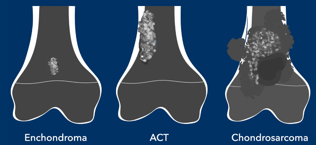 1767703280571094286.png image.png