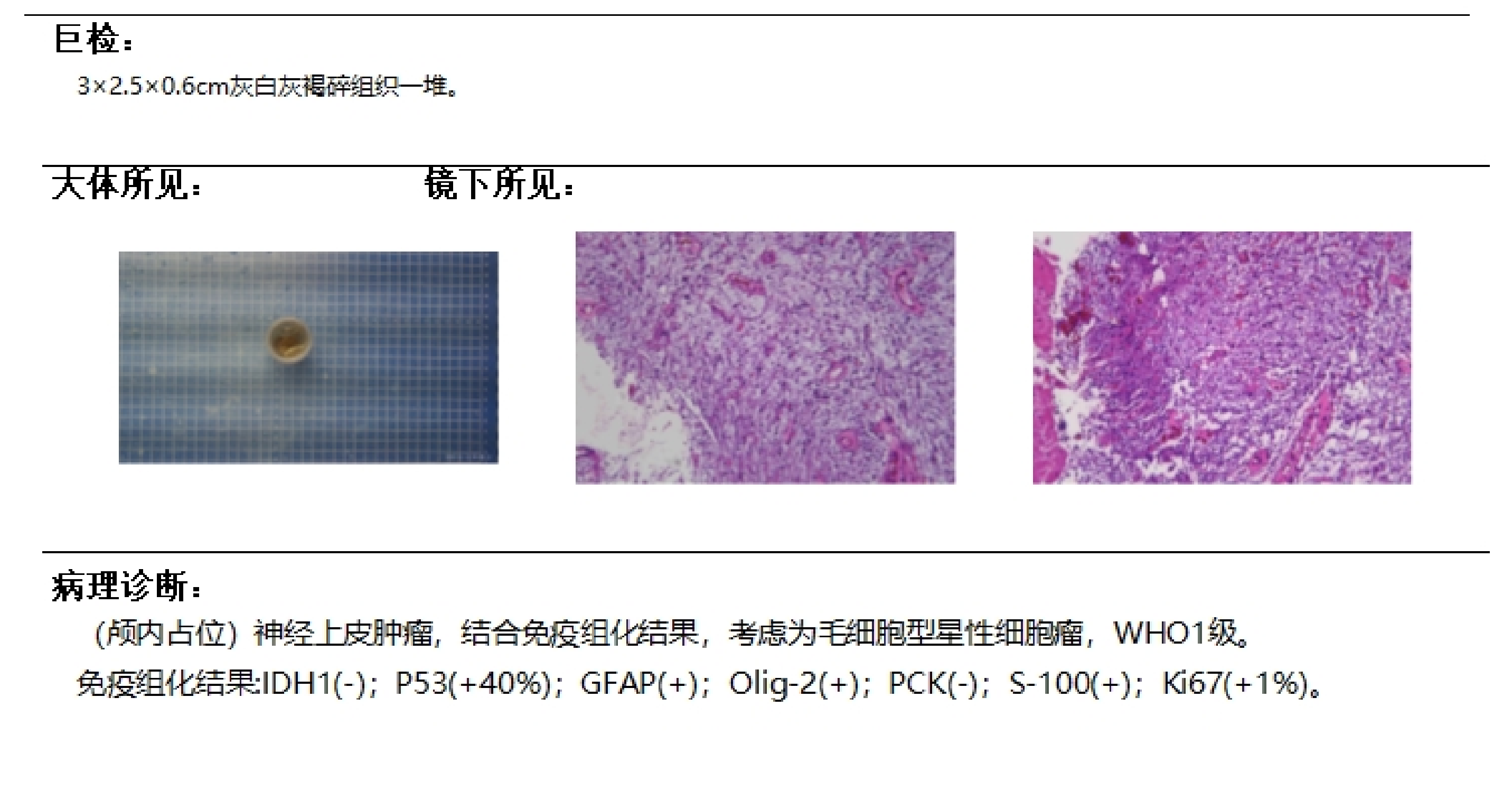 1775256255236026003.png 图片1.png