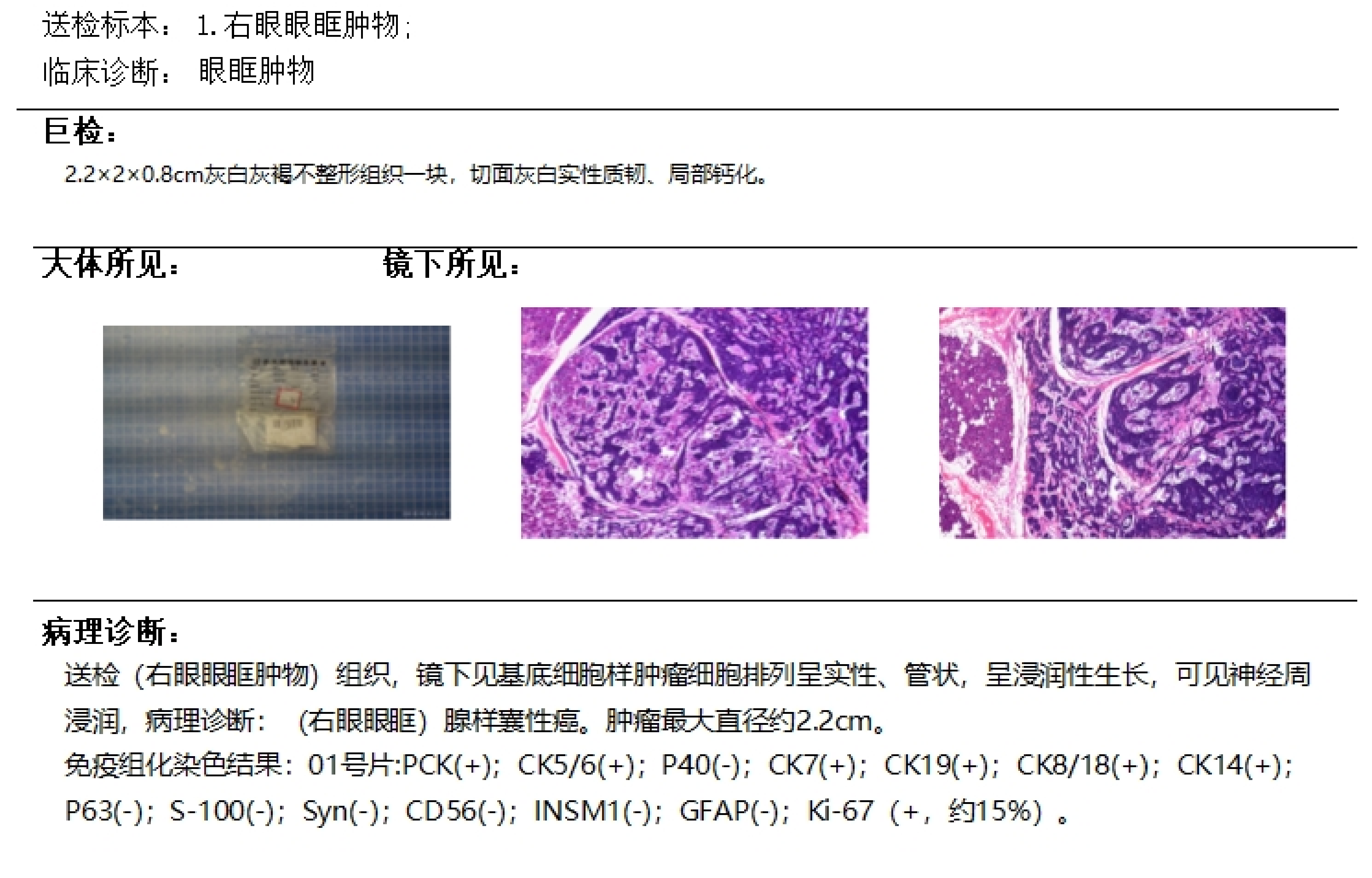 1779290471747097527.png 图片1.png