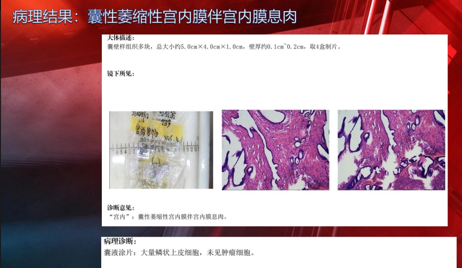 1782119287744042015.jpg 1.jpg