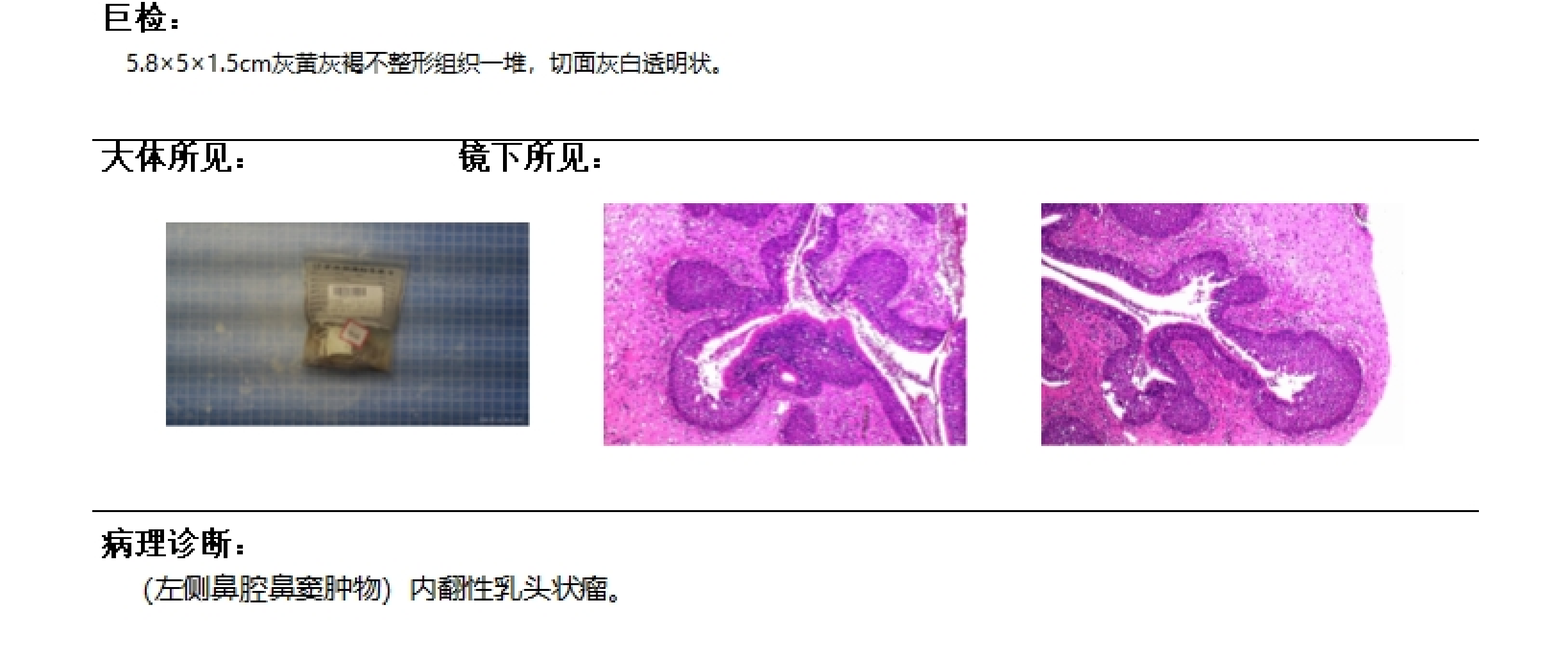 1785997885470064148.png 图片1.png