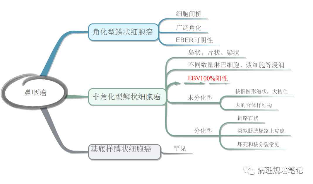 鼻咽非角化癌